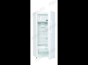 Холодильник Gorenje RB6153BW (512976, HTS2769F) - Фото